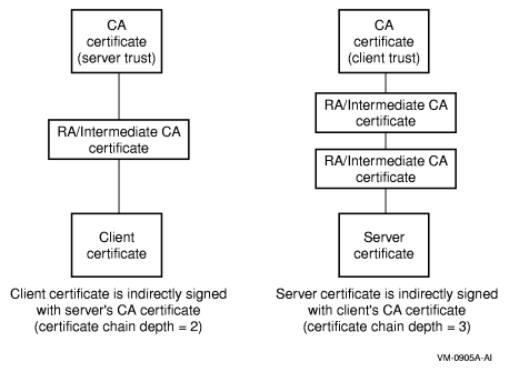 Client and Server Certificates Indirectly Signed by CAs